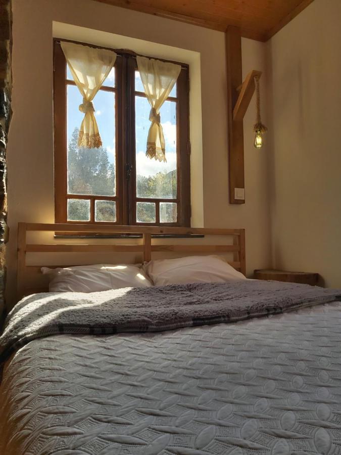 Casa Da Arvore -