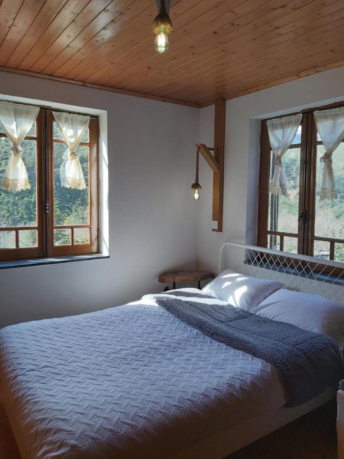 Casa Da Arvore - *