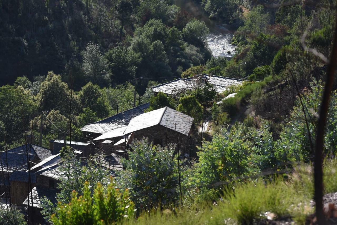 Casa Da Arvore - * Paradinha